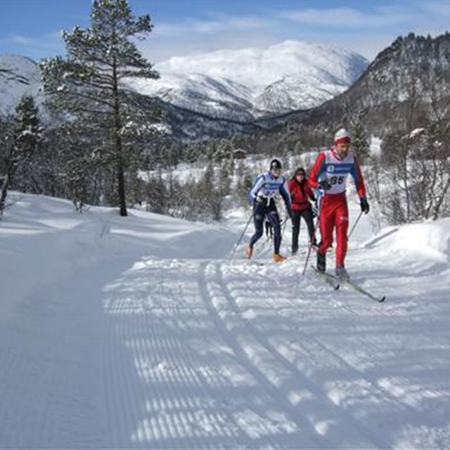 Støyledalslåmi 2023