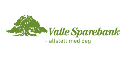 Valle Sparebank